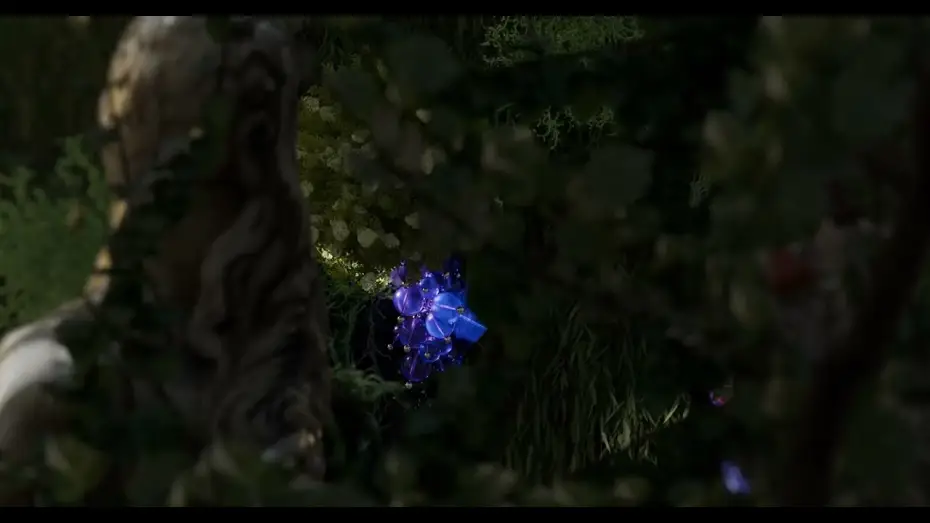 Wideo do filmu The Fox and the Grapes — The Fox and The Grapes Official trailer