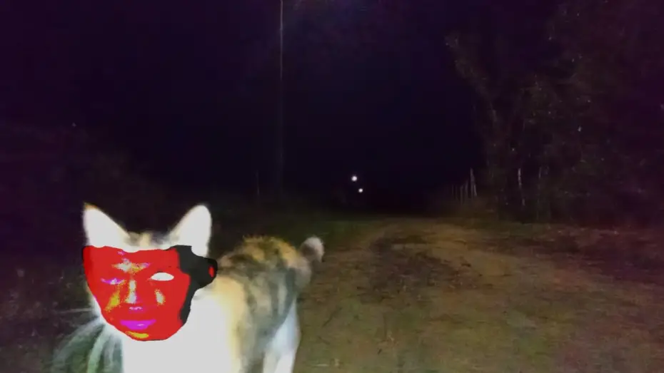 Wideo do filmu Eu Ja Sonhei Com Isso — Eu Já Sonhei Com Isso
