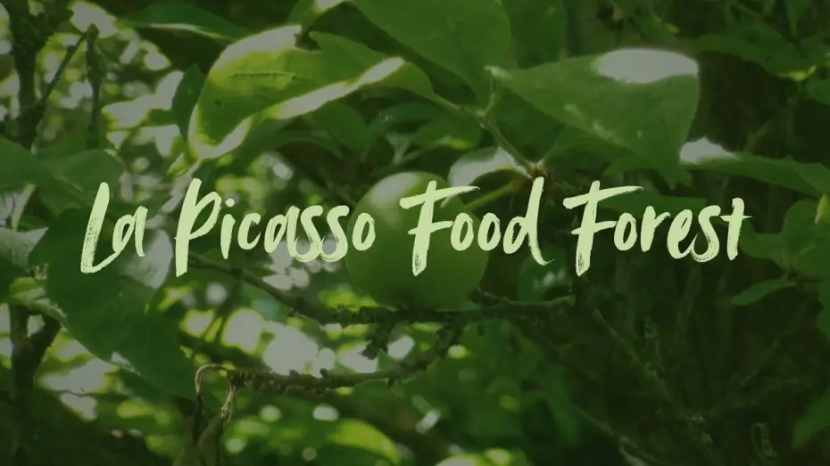 Wideo do filmu La Picasso Food Forest — La Picasso Food Forest