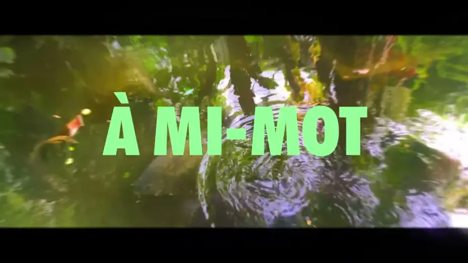 Wideo do filmu À MI-MOT — À MI-MOT