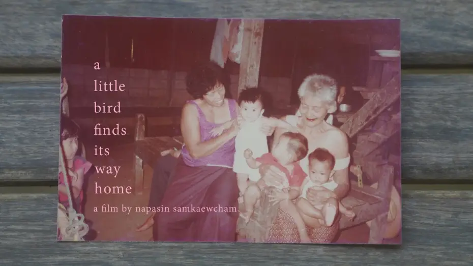 Wideo do filmu นกเล็ก — นกเล็ก (a little bird finds its way home) (2026) | Trailer