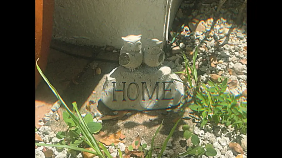 Wideo do filmu HOME.mp4 — HOME.mp4