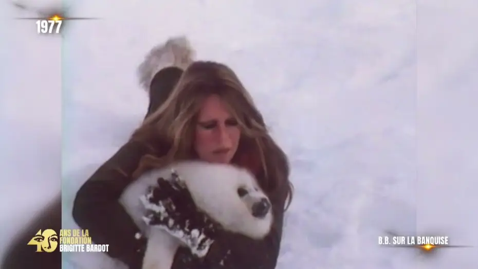 Wideo do filmu Brigitte Bardot - Le combat en héritage — 40 ans de la Fondation Brigitte Bardot - Le combat en héritage : Sur la banquise