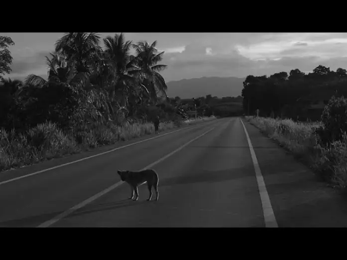 Wideo do filmu สวรรค์บ้านนา — SA - WUN - BAN - NA (2566)