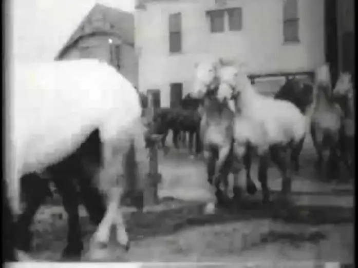 Wideo do filmu Buffalo Stockyards — Buffalo Stockyards