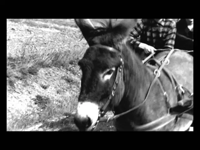Wideo do filmu Na los szczęścia, Baltazarze! — Au hasard Balthazar - Trailer (Il Cinema Ritrovato al cinema)