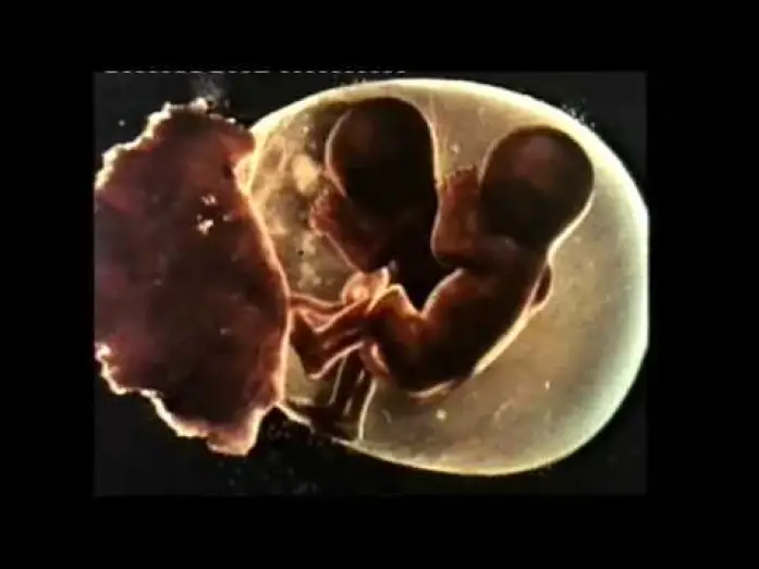 Wideo do filmu Siostry — Sisters (1973) - Trailer