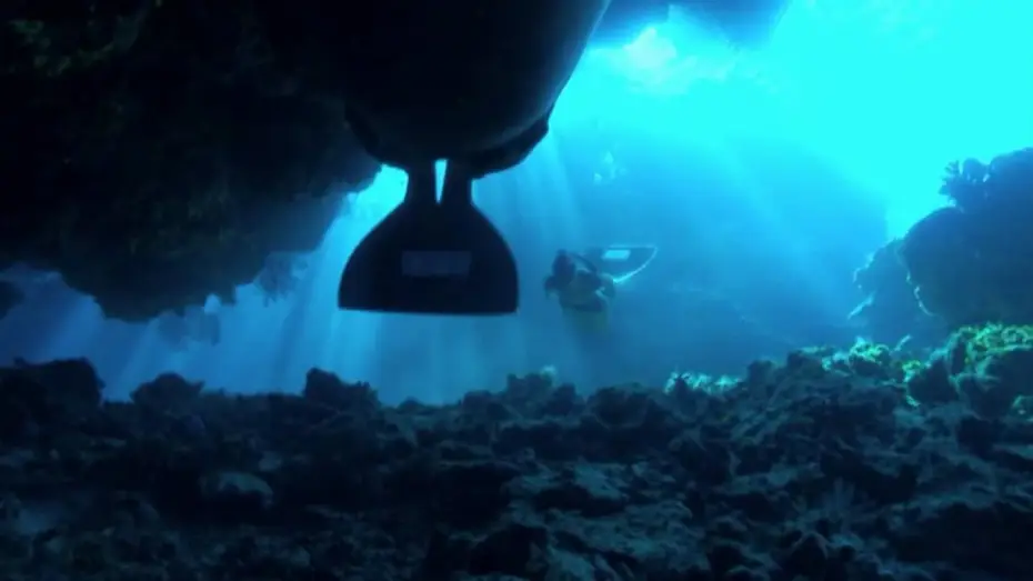 Wideo do filmu Zatoka delfinów — DIE BUCHT "The Cove" - DVD Trailer 11.03.10