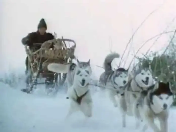 Wideo do filmu Żelazna wola — Iron Will Movie Trailer (better quality)