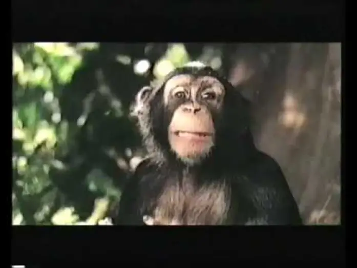 Wideo do filmu George prosto z drzewa 2 — Disney's George of the jungle 2 Trailer 2003 (VHS Capture)