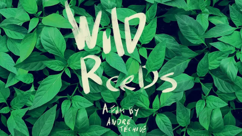 Wideo do filmu Les Roseaux sauvages — Wild Reeds (Les roseaux sauvages) - U.S. Restoration Trailer (HD)