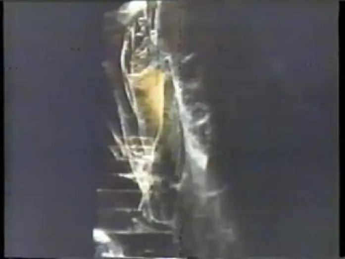 Wideo do filmu Silent Scream — Silent Scream 1980 TV trailer