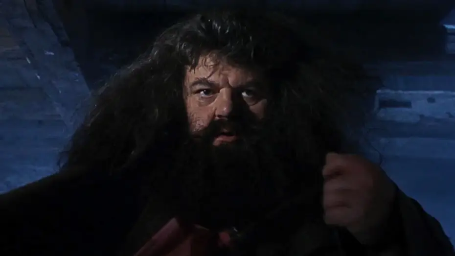 Wideo do filmu Harry Potter i Kamień Filozoficzny — A visit from Rubeus Hagrid | Harry Potter and the Philosopher's Stone