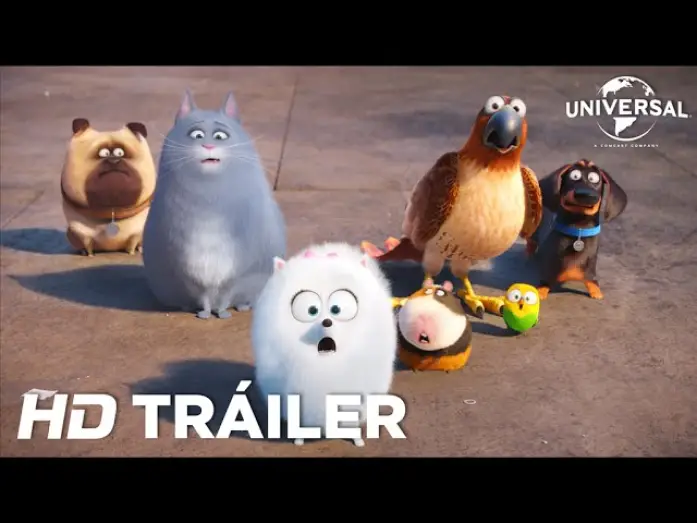 Wideo do filmu Sekretne życie zwierzaków domowych — Mascotas: Tráiler 2 (Universal Pictures) [HD]