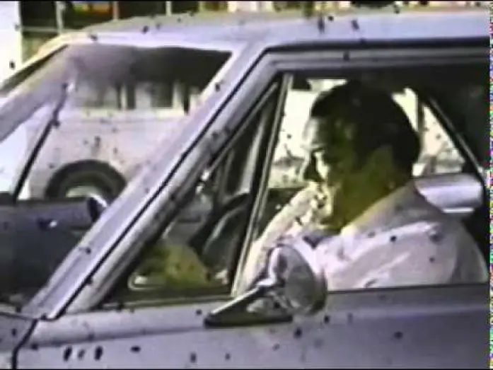 Wideo do filmu Killer Bees — Buzz (and) Kill.mpg