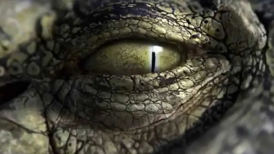 Wideo do filmu RoboCroc — Robocroc Trailer