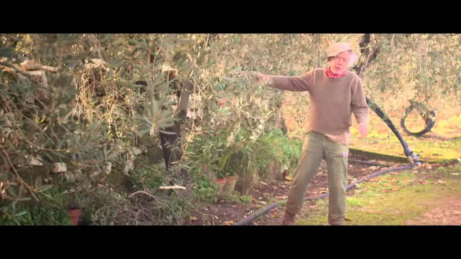 Wideo do filmu Spring — Spring - Love is a Monster (2014) Trailer HD German Deutsch