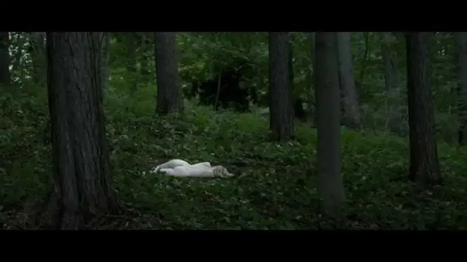 Wideo do filmu Zabójcy bażantów — ZABÓJCY BAŻANTÓW - oficjalny polski zwiastun (HD, 1080p)