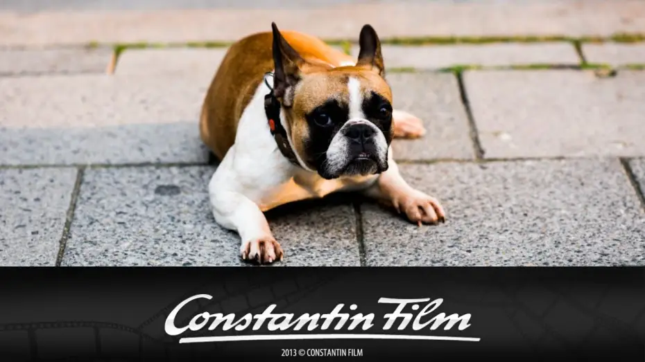 Wideo do filmu Alles Inklusive — Alles Inklusive - Trailer