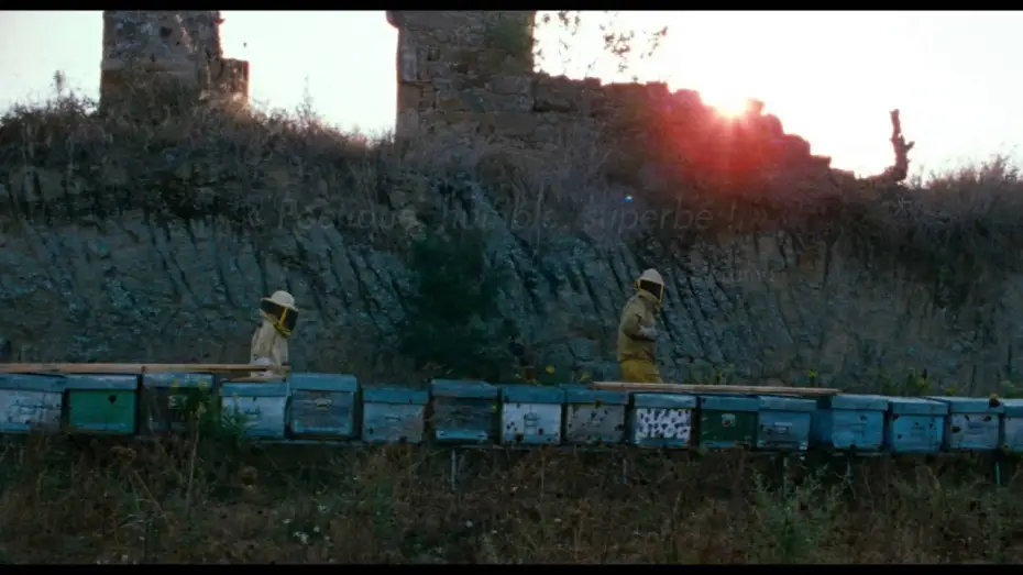 Wideo do filmu Cuda — Les Merveilles - Bande Annonce VOST