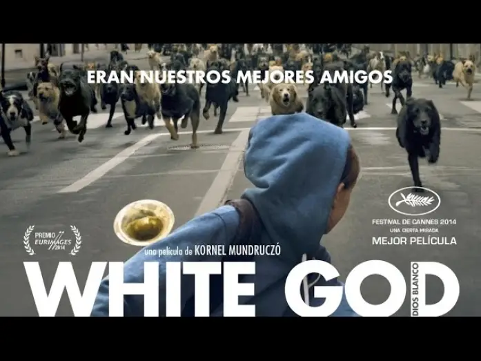 Wideo do filmu Biały Bóg — WHITE GOD (DIOS BLANCO) - Tráiler en español HD