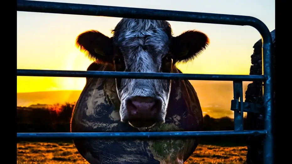 Wideo do filmu Cowspiracy: tajemnica równowagi ekologicznej środowiska — COWSPIRACY - Official Teaser 1 - HD