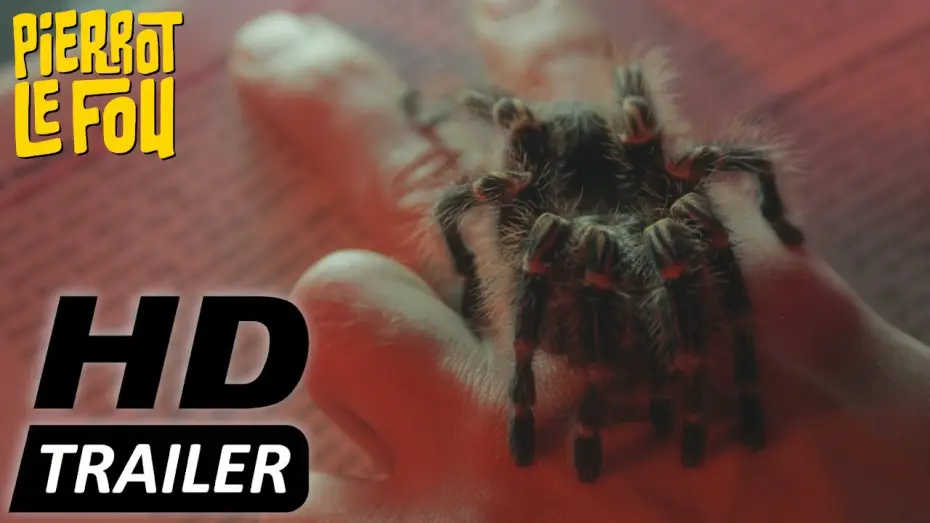 Wideo do filmu The Editor — THE EDITOR | Trailer deutsch | Jetzt erhältlich!