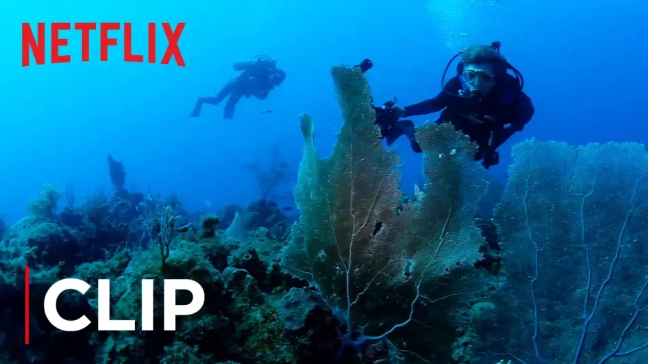 Wideo do filmu Mission Blue — The Ocean Is Dying