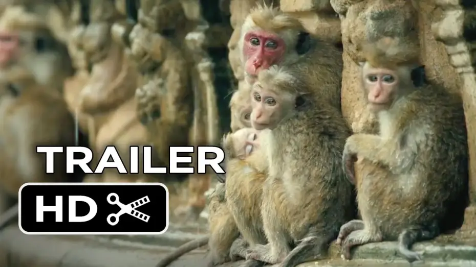 Wideo do filmu Królestwo małp — Monkey Kingdom Official Trailer #1 (2015) - Disneynature Documentary HD