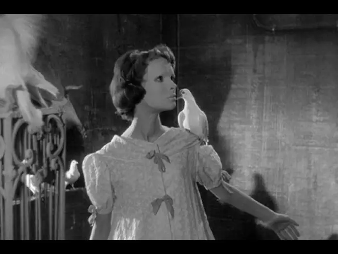 Wideo do filmu Oczy bez twarzy — Sam Hamm on Eyes Without a Face