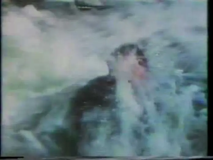 Wideo do filmu Po Tragedii Posejdona — Beyond the Poseidon Adventure 1979 TV trailer