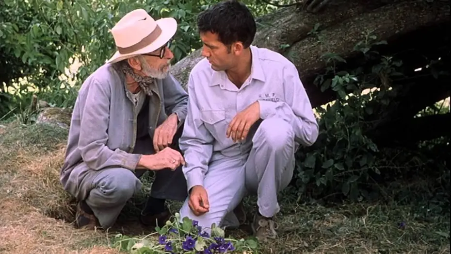 Wideo do filmu Greenfingers — Greenfingers - Harte Jungs und zarte Triebe - Trailer
