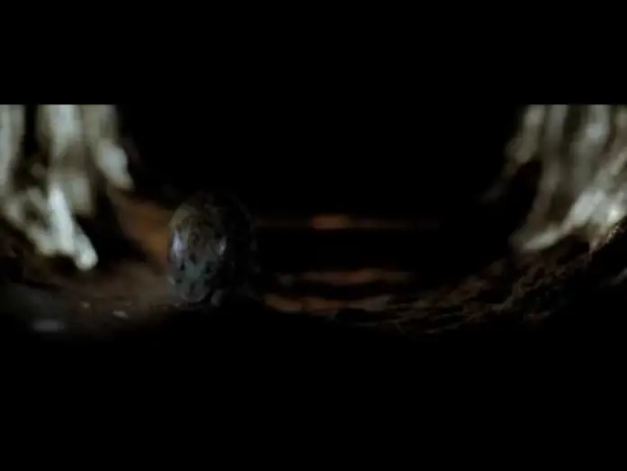 Wideo do filmu Zejście 2 — Exclusive Clip