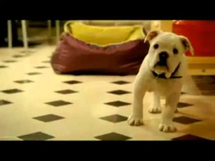 Wideo do filmu Trésor — Tresor 2009 Trailer.flv