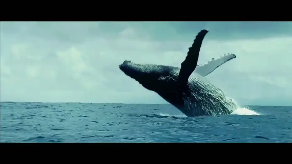 Wideo do filmu Oceany — unsere ozeane trailer HD
