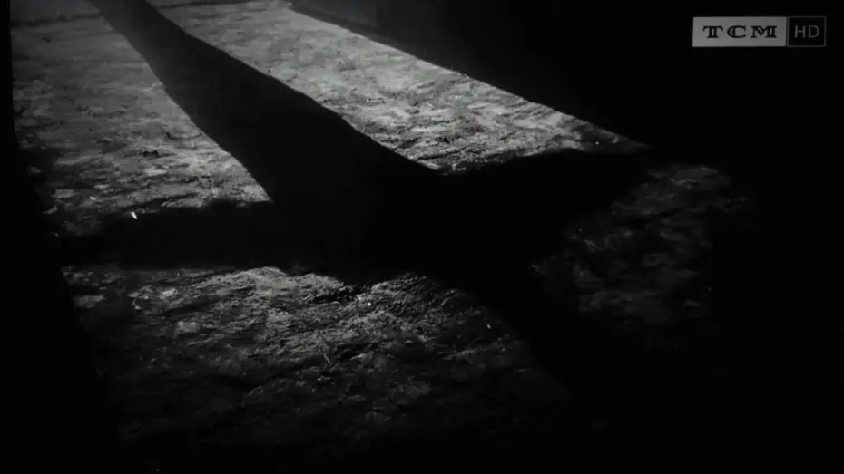 Wideo do filmu The Fugitive — 'El fugitivo' (fragmento)