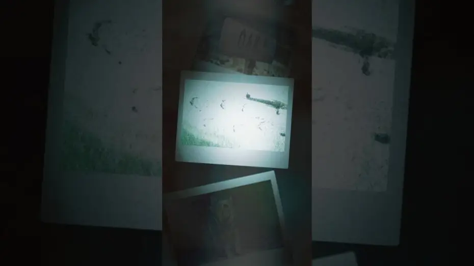 Wideo do filmu Flowervale Street — What’s next?