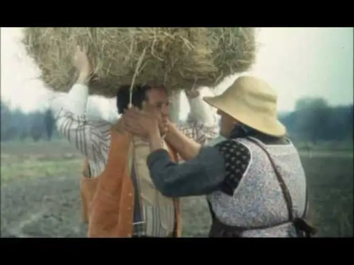 Wideo do filmu Il ragazzo di campagna — Trailer Il Ragazzo Di Campagna (Renato Pozzetto) by IlFilmografo