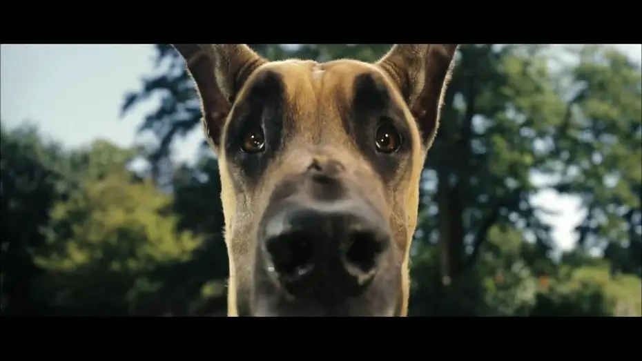 Wideo do filmu Marmaduke - pies na fali — Marmaduke Trailer [german] HD