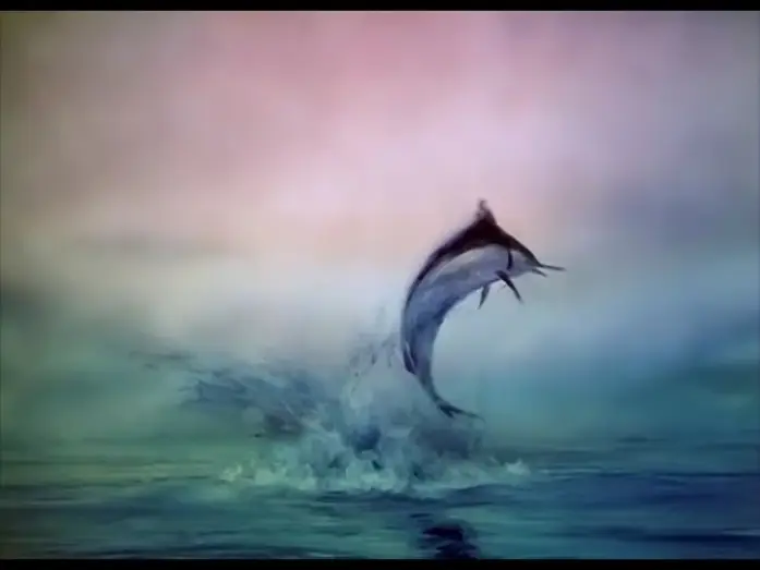 Wideo do filmu Stary człowiek i morze — El viejo y el mar - Aleksandr Petrov (1999)
