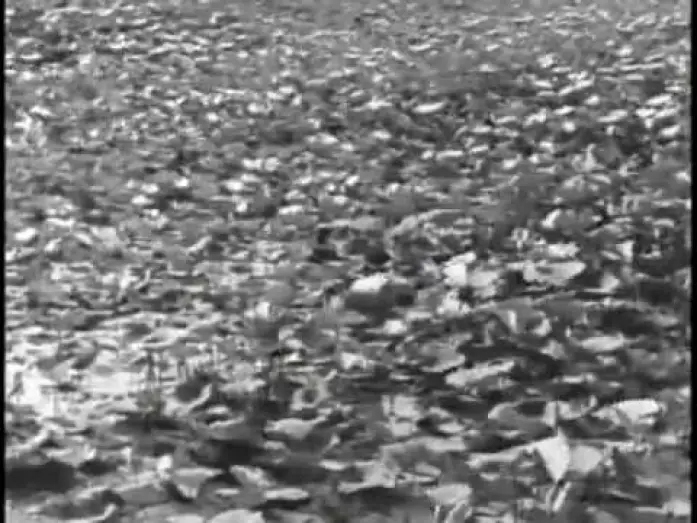 Wideo do filmu Droga do miasta — Pather Panchali  the rain scene