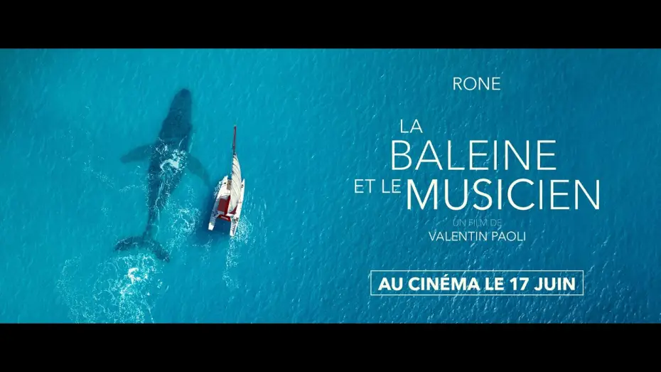 Wideo do filmu La Baleine et le musicien — LA BALEINE ET LE MUSICIEN - Bande Annonce