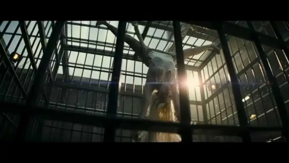 Wideo do filmu Legion samobójców — Escuadrón Suicida - Trailer Oficial Comic-con español HD