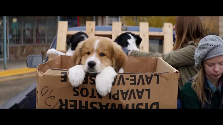 Wideo do filmu Był Sobie Pies — MES VIES DE CHIEN - Bande annonce - VF