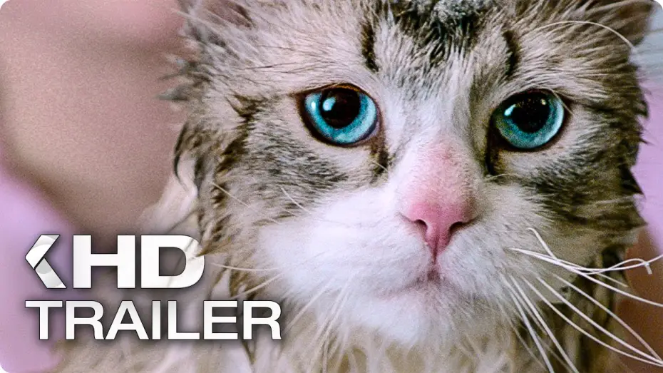 Wideo do filmu Jak zostać kotem — NINE LIVES Exklusiv Trailer German Deutsch (2016)
