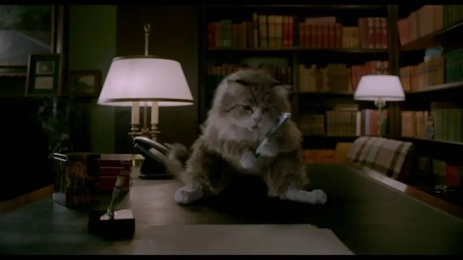 Wideo do filmu Jak zostać kotem — MA VIE DE CHAT - Extrait "Le message" VF