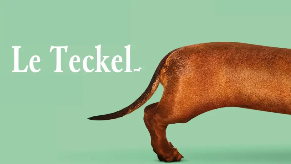 Wideo do filmu Jamnik — Le Teckel - BANDE ANNONCE VOST