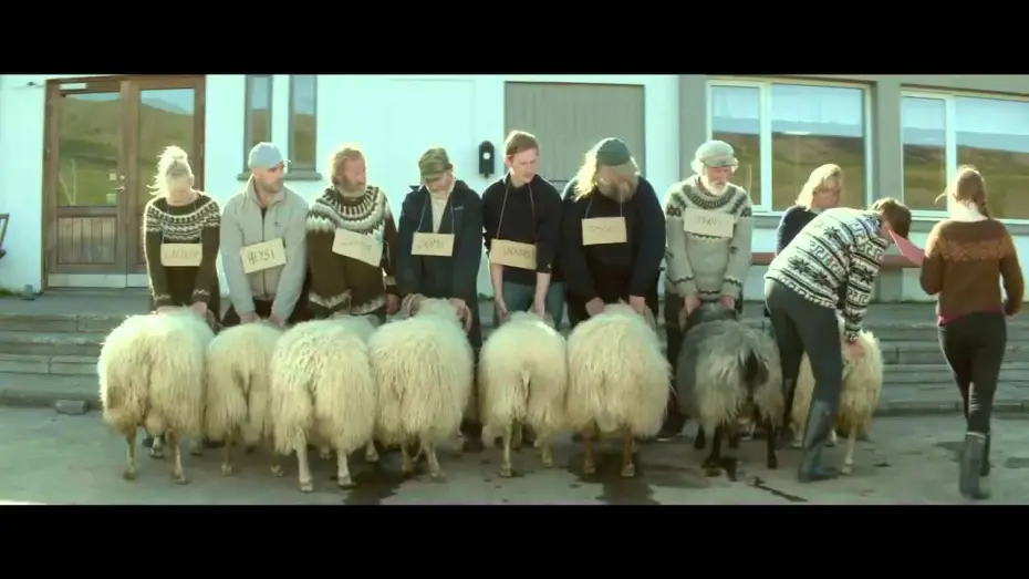 Wideo do filmu Barany. Islandzka opowieść — STURE BÖCKE Trailer