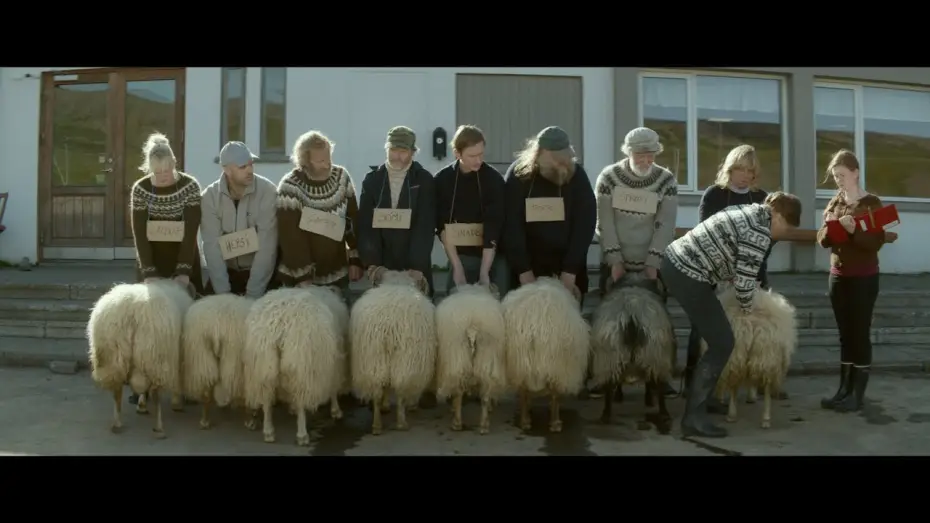 Wideo do filmu Barany. Islandzka opowieść — Rams / Hrútar by Grímur Hákonarson - Trailer - Un Cannes Certain Regard 2015 winner