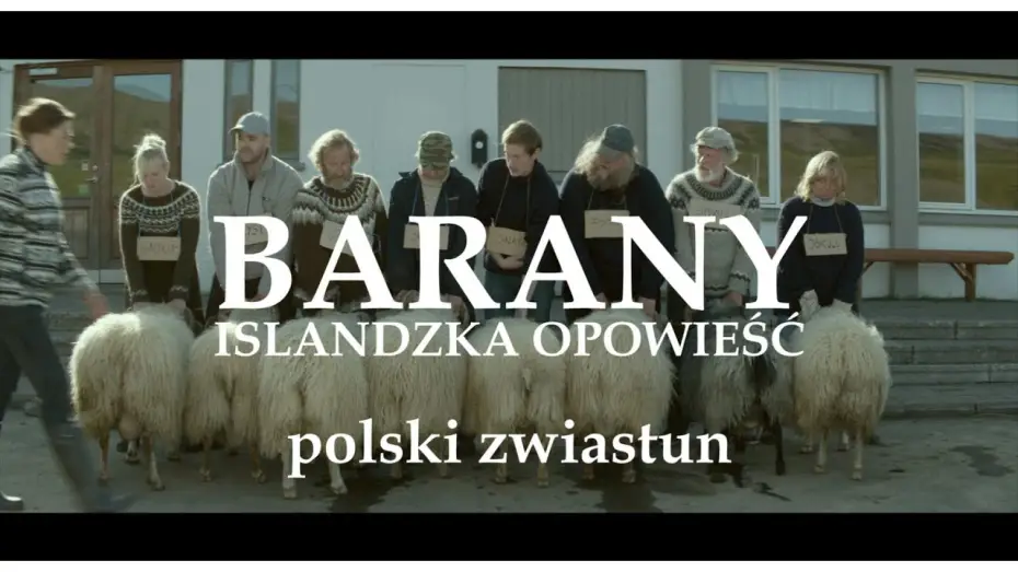 Wideo do filmu Barany. Islandzka opowieść — Barany. Islandzka opowieść - zwiastun PL, zobacz na VOD, na DVD od 9 września 2016